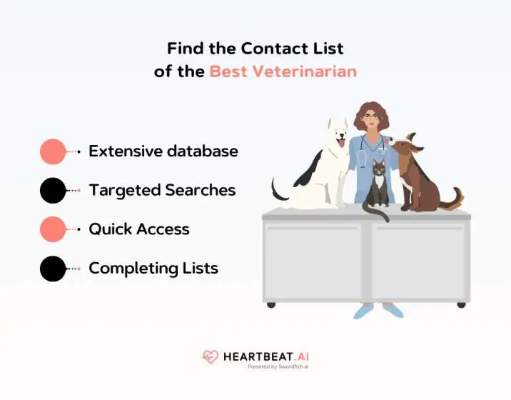 Find the Contact List of the Best Veterinarian