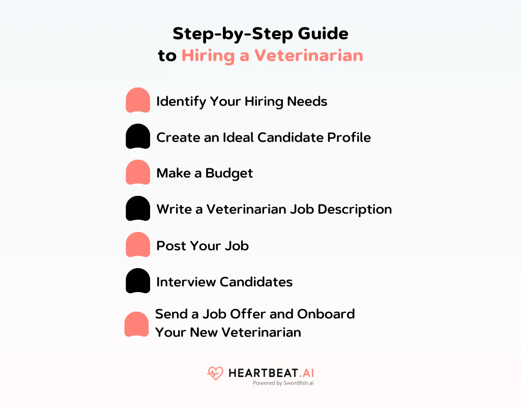 Step-by-Step Guide to Hiring a Veterinarian