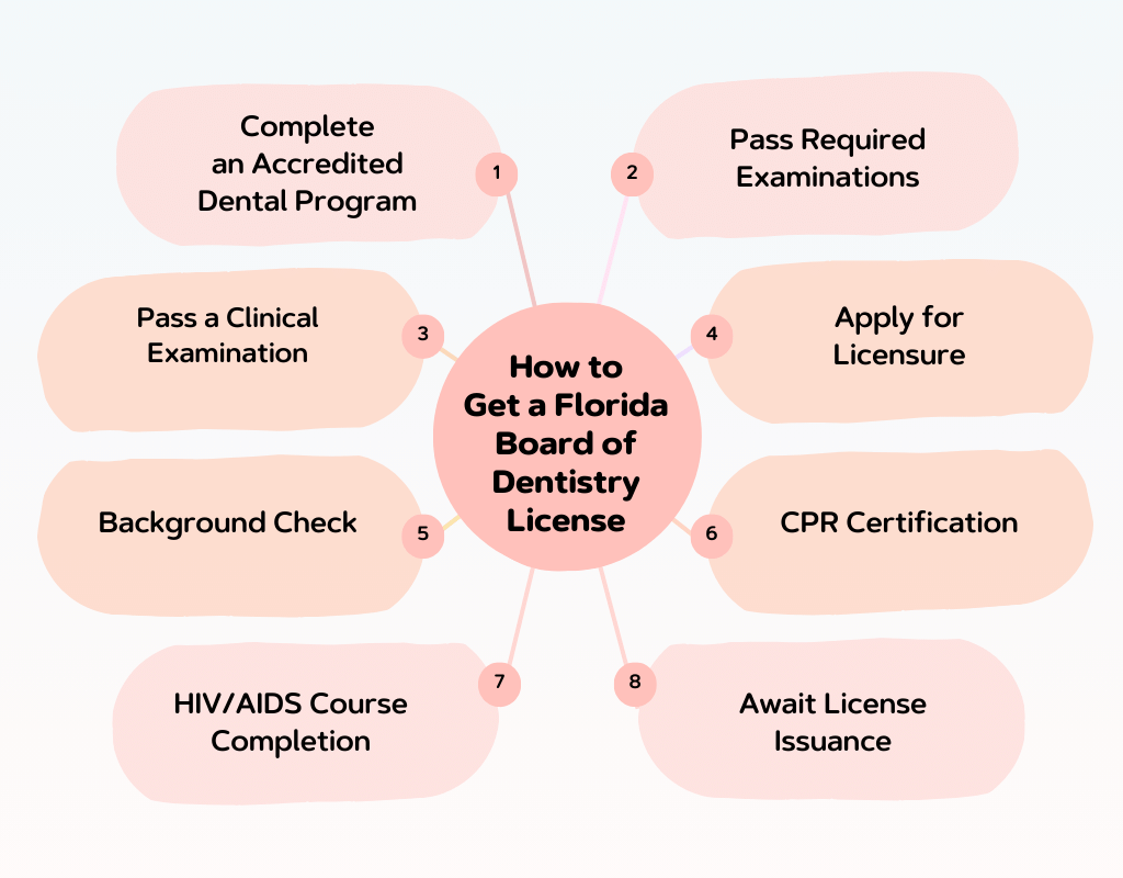 Florida Board of Dentistry Your Comprehensive Licensing Guide