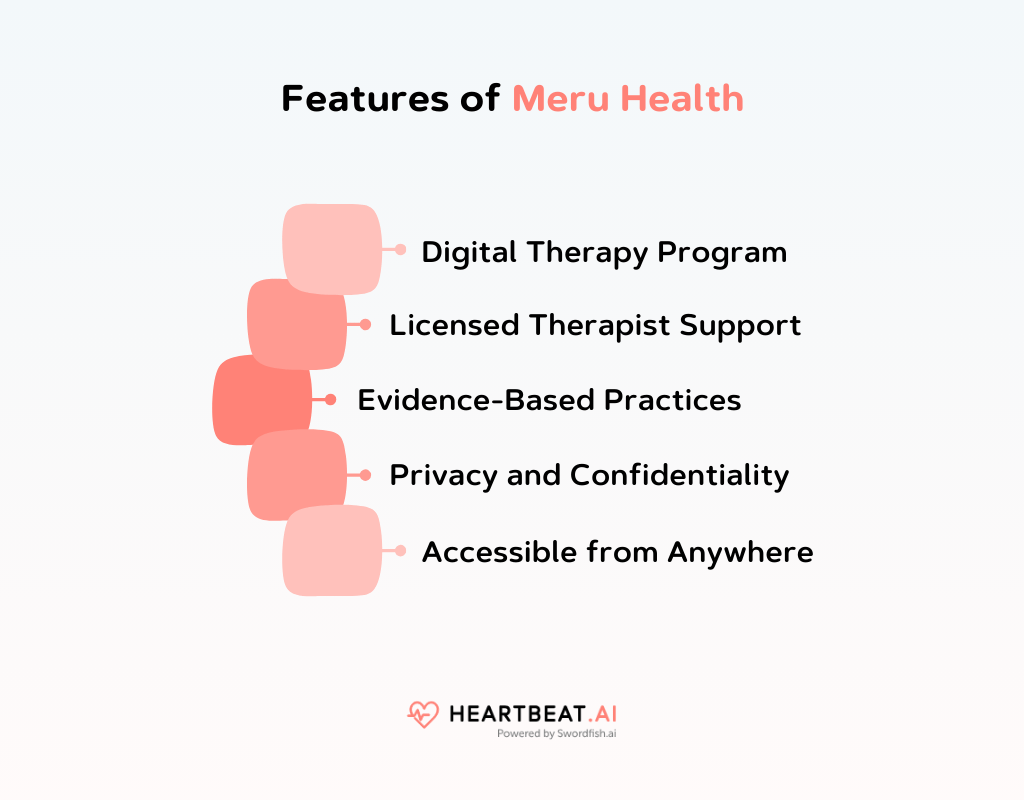 Features of Meru Health