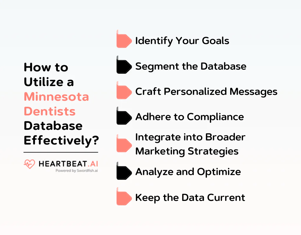 How to Utilize a Minnesota Dentists Database Effectively
