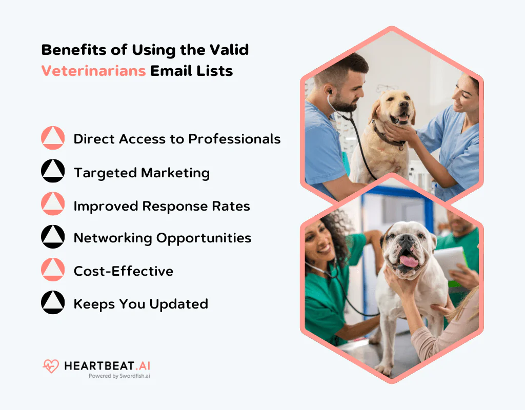 Benefits of Using the Valid Veterinarians Email Lists