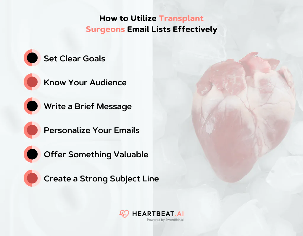 Utilize Transplant Surgeons Email Lists Effectively