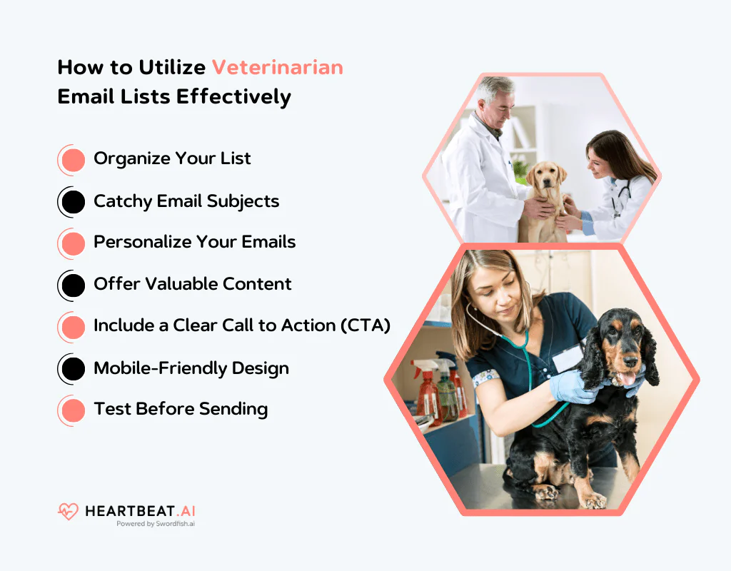 Utilize Veterinarian Email Lists Effectively