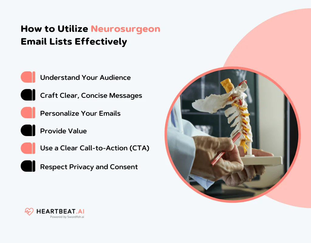 How to Utilize Neurosurgeon Email Lists Effectively